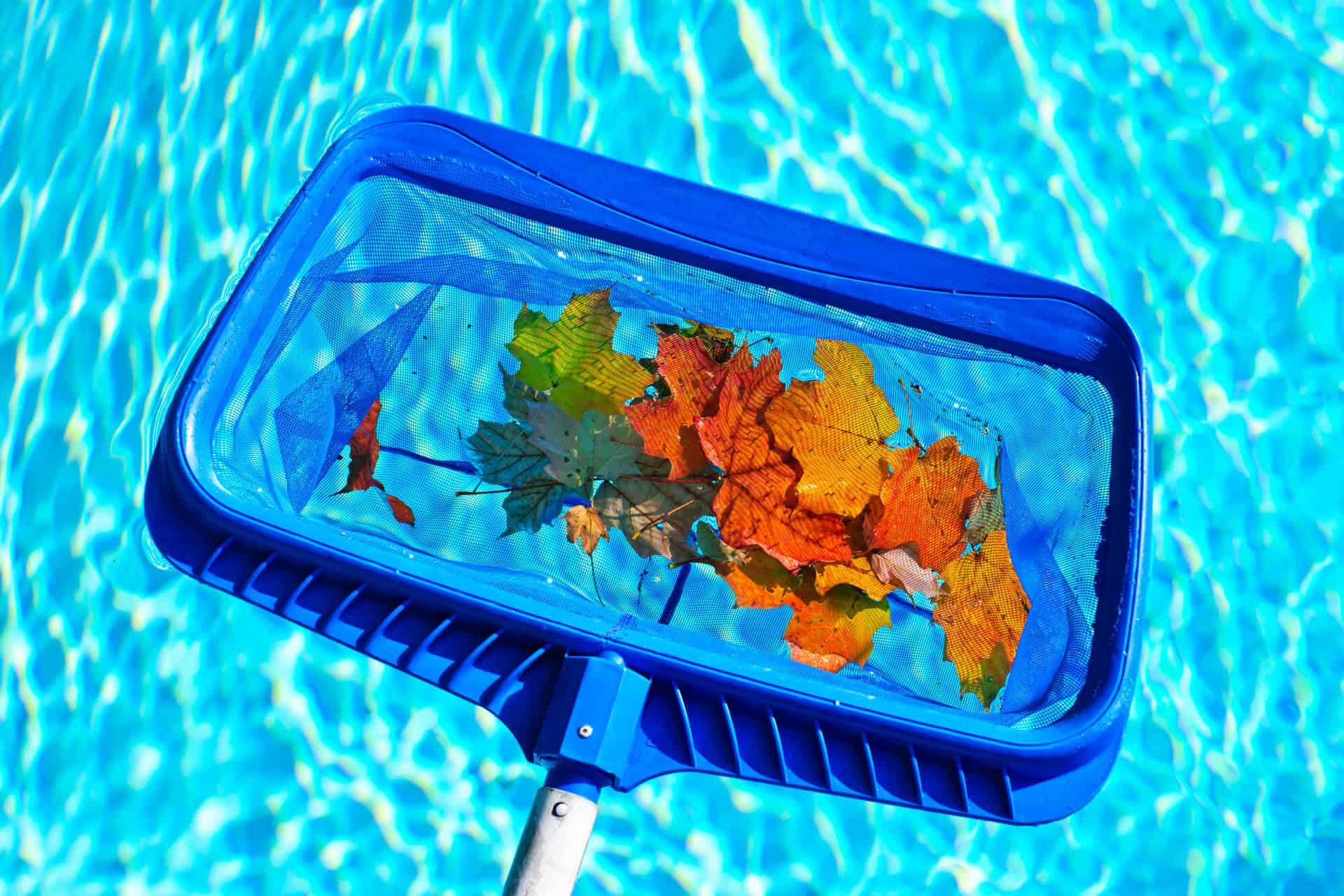 pool-cleaning-service-3